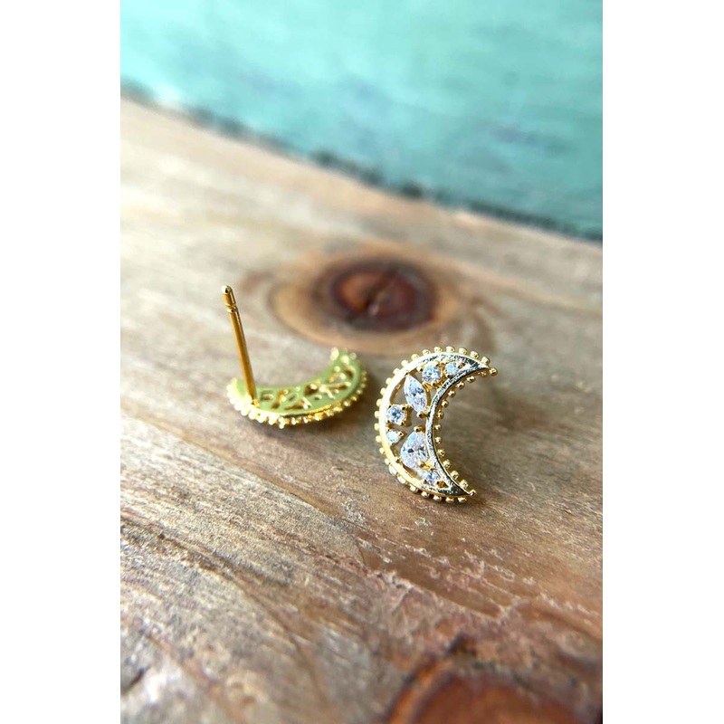 Special Moon Earrings