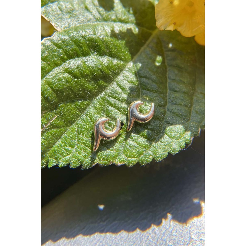 Curl Earrings