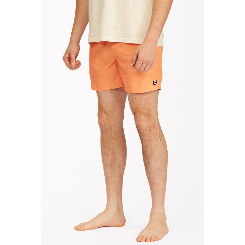 All Day Solid Layback Trunks