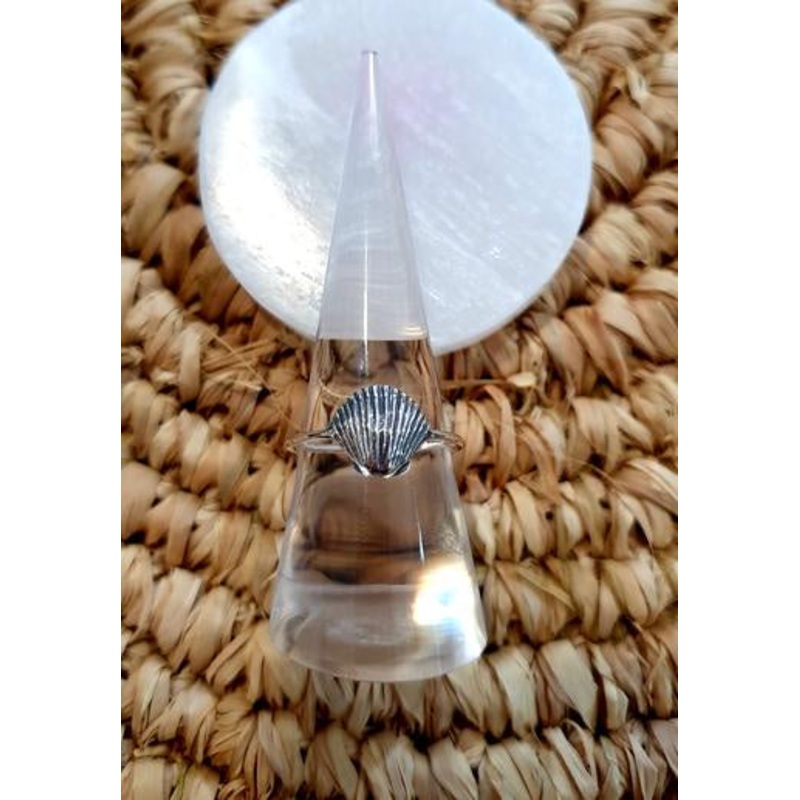 Shell Ring