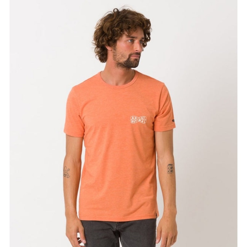 Animal Wings Short Sleeved T Shirt