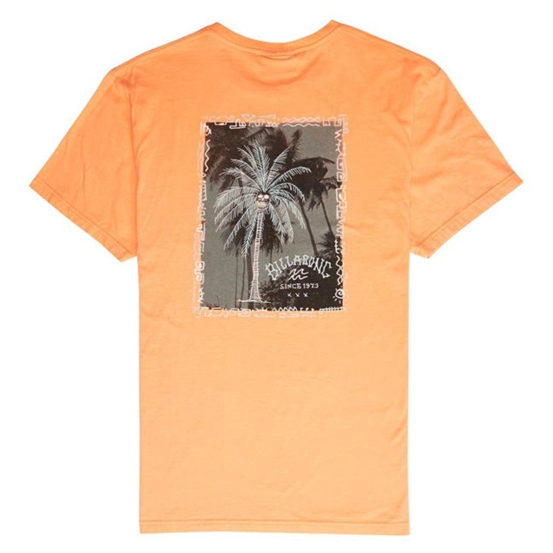 Billabong Get Back Short Sleeved Tshirt