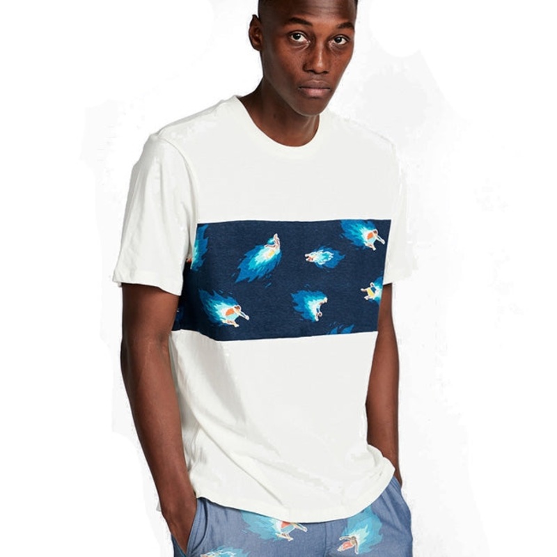 Element Hoffman Panel Short Sleeved Tshirt