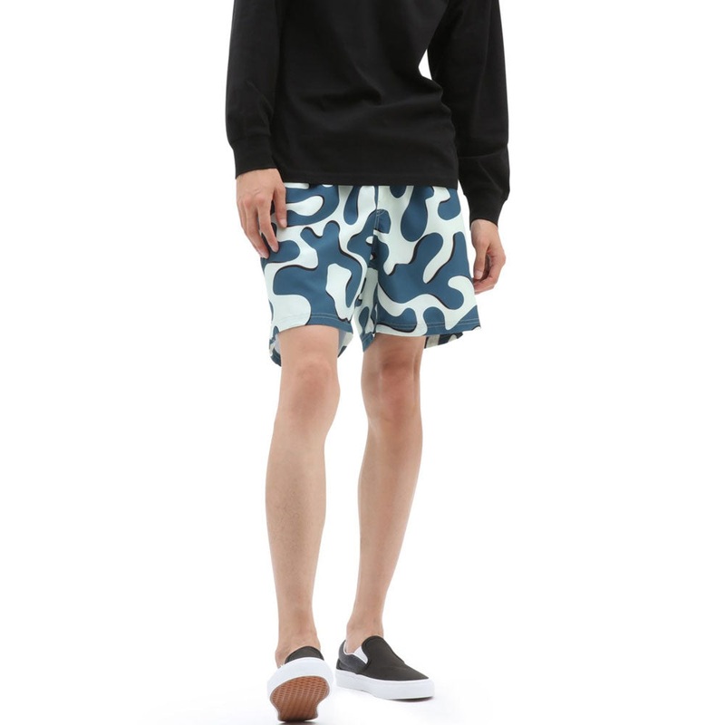 Vans Primary Print Elastic Boardshorts