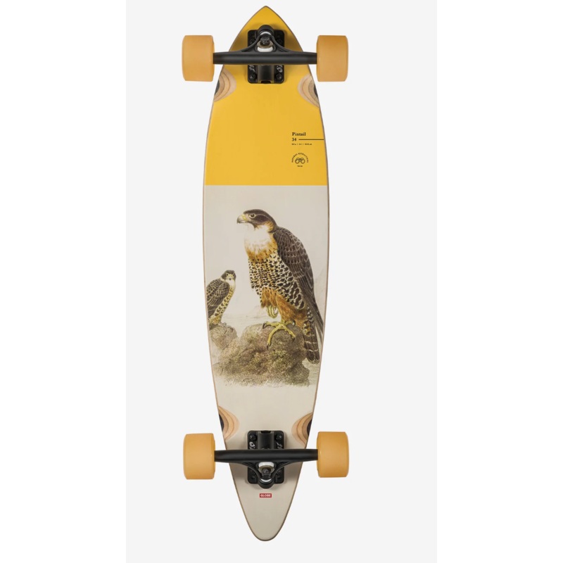 PIN TAIL 34