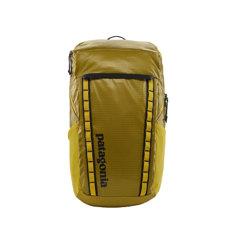 Patagonia Black Hole 32L Backpack