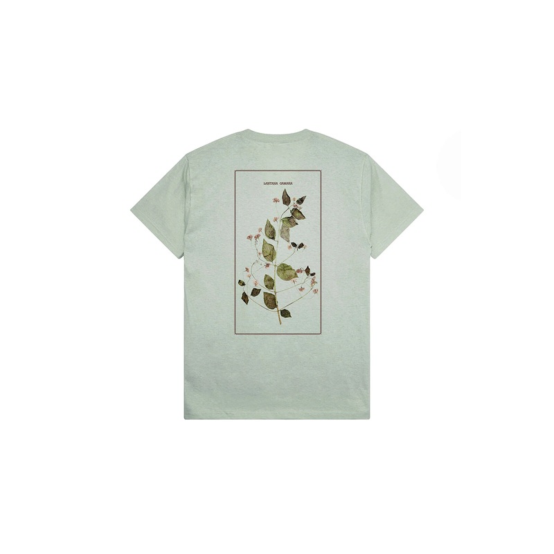 Passport Lantana Tee